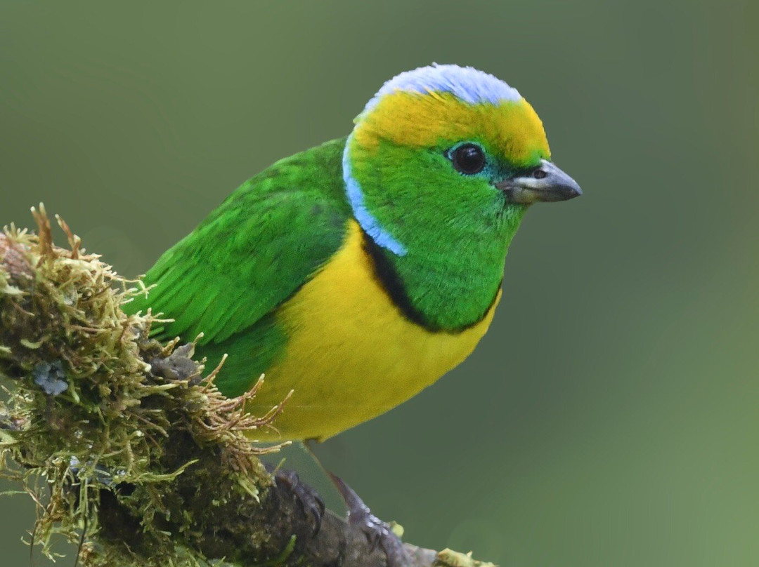 Geo Natura Tours-圣拉蒙必去景点