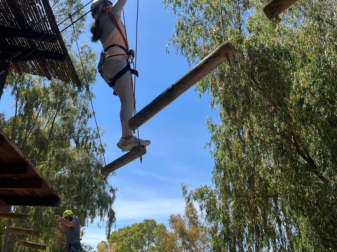 Parco Avventura Il Boschetto景点图片