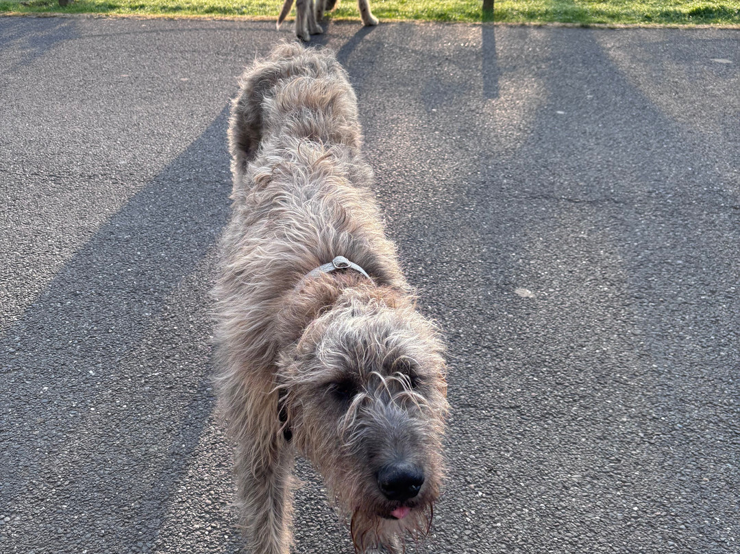 Elite Transfers Dublin-都柏林必去景点