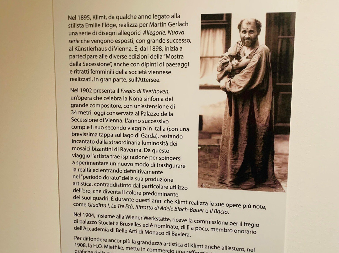 MuSa - Museo Di Salò-萨罗必去景点