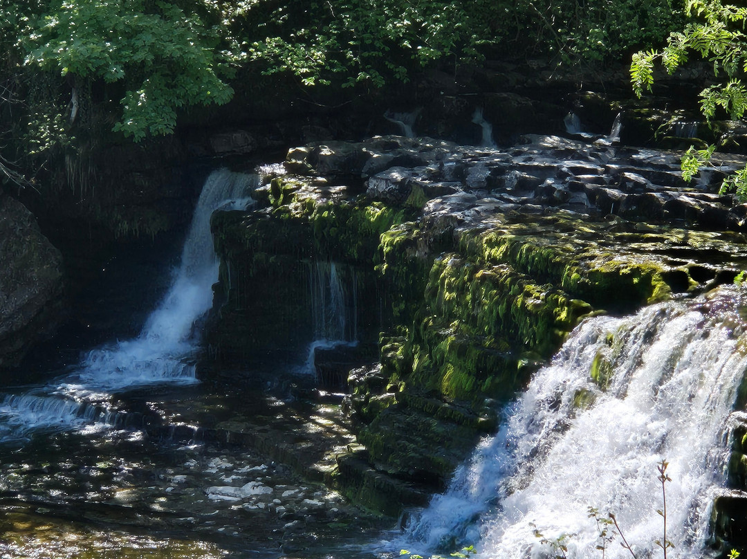 Aysgarth Falls景点图片