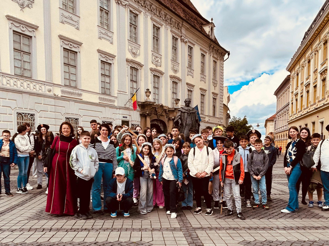 Sibiu Guide Nico景点图片