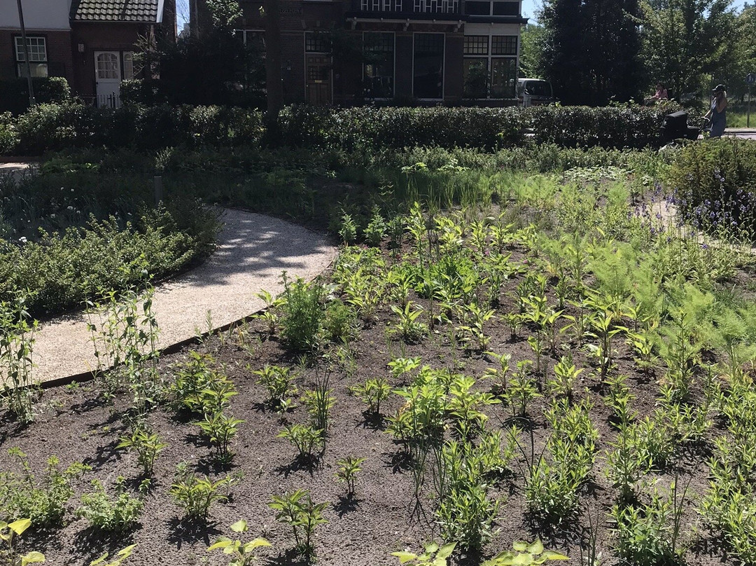 Raadhuis Heemstede (1906)-海姆斯泰德必去景点