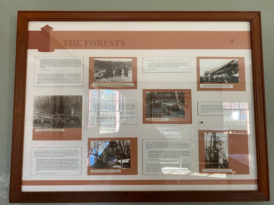 Geldmacher House Museum-Nimmitabel必去景点