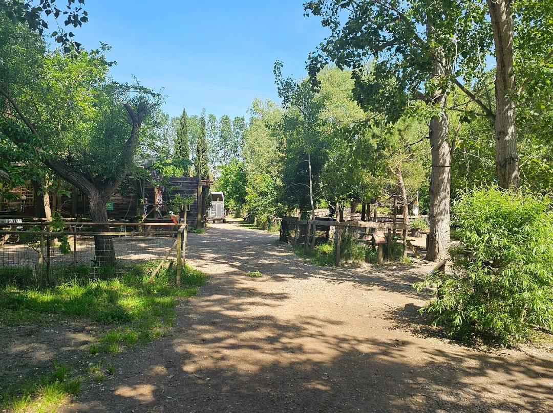 Ferme de Decouverte Saint-Andre-Saint-Andre必去景点