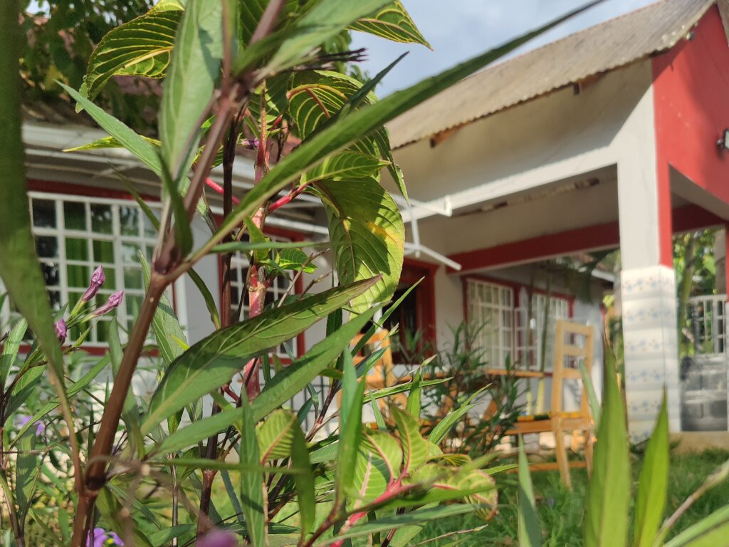 Sirigreen Resort