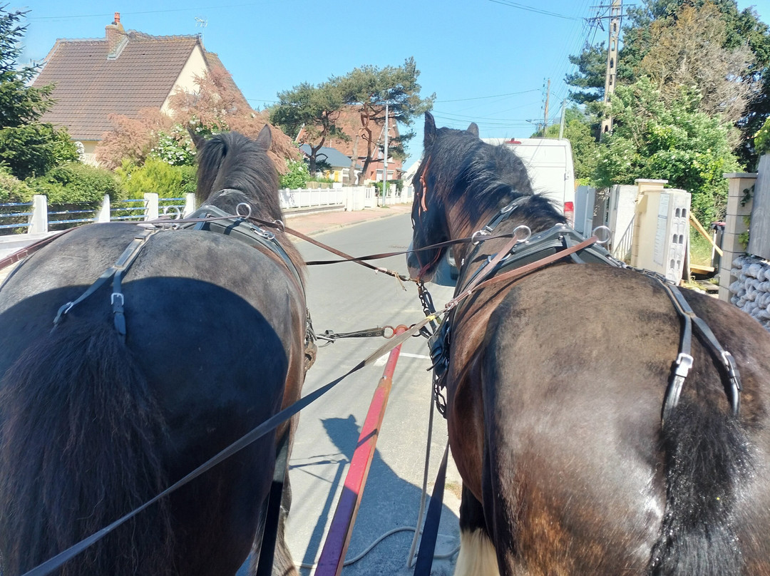 Carriage Outings-Le Crotoy必去景点