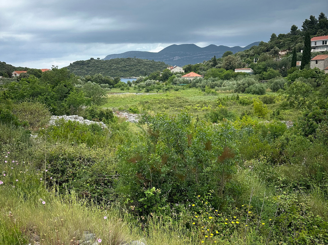 Korcula Island景点图片