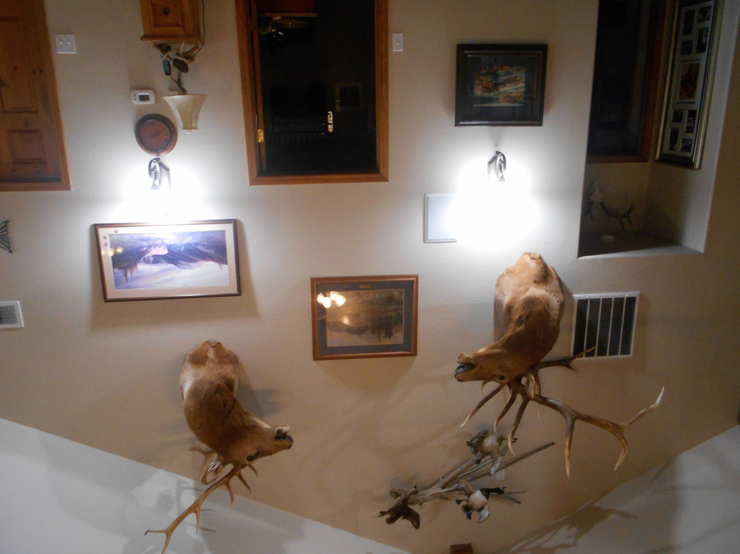 The High Country Inn主图