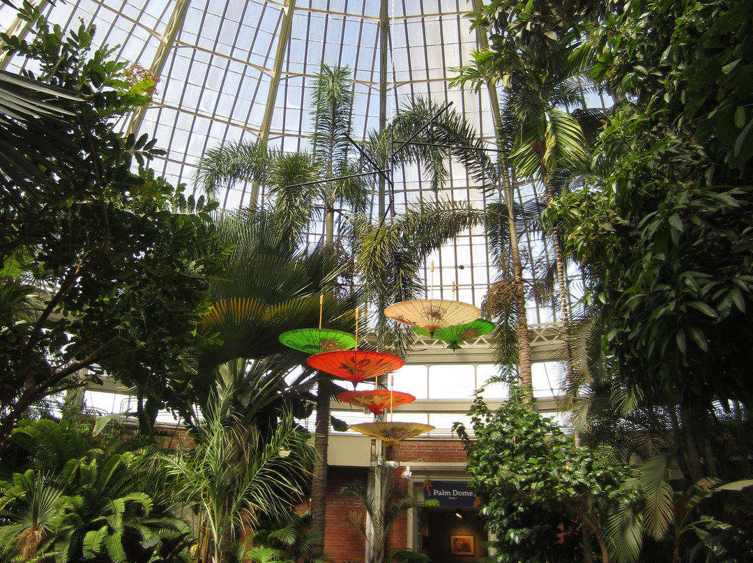 Buffalo and Erie County Botanical Gardens-水牛城必去景点