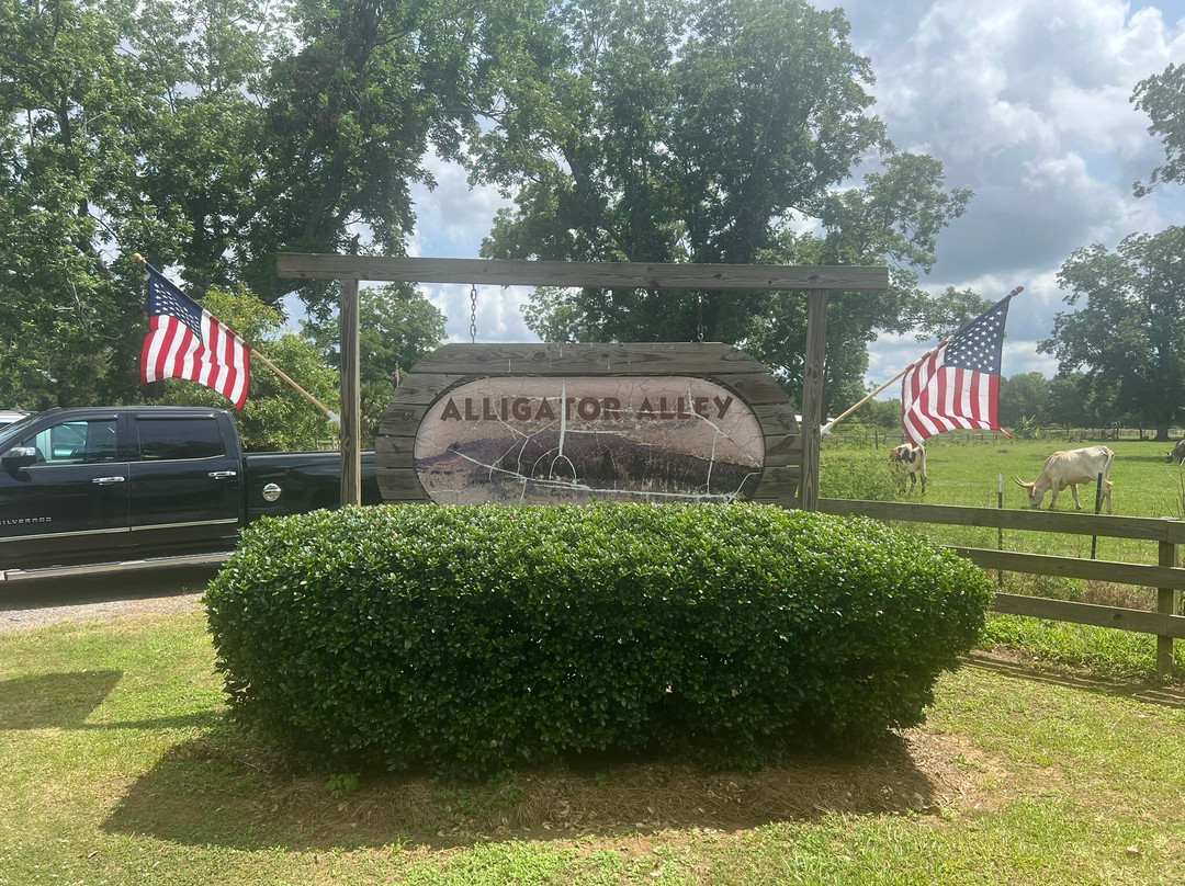 Alligator Alley-Summerdale必去景点