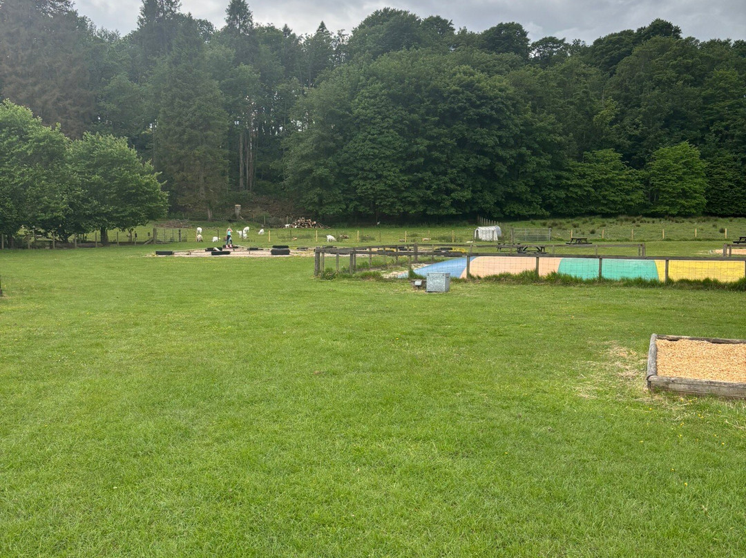 Mabie Farm Park景点图片