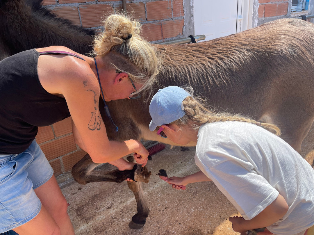 Donkey Trekking Kefalonia-萨米必去景点