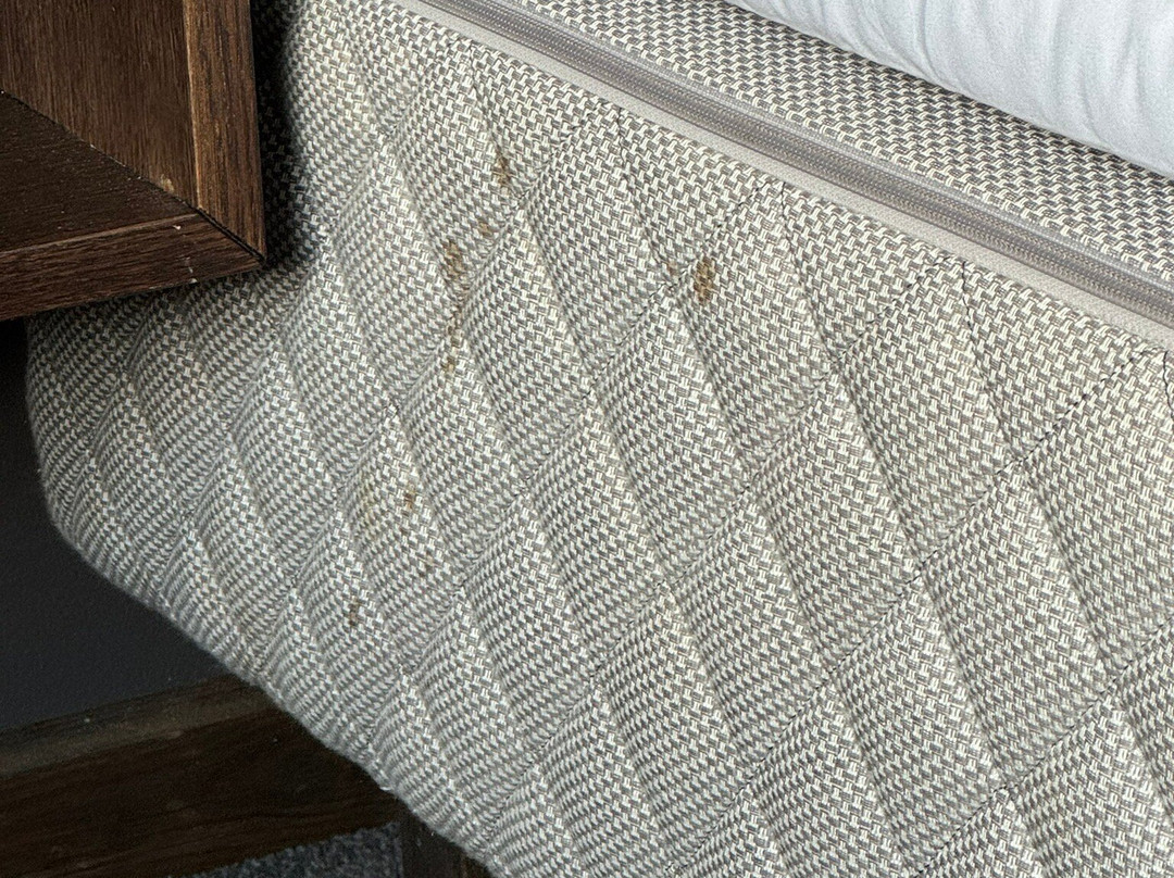 Quality Hotel Skifer主图