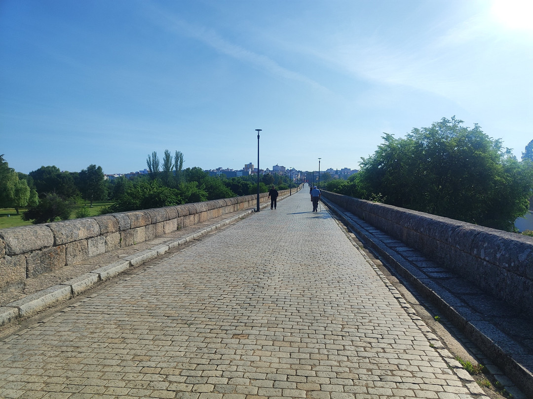 Puente Romano景点图片