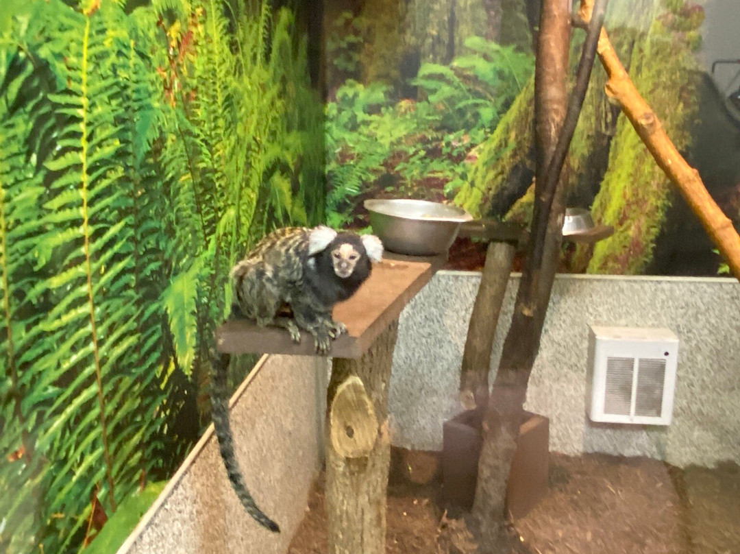 Leesburg Animal Park景点图片