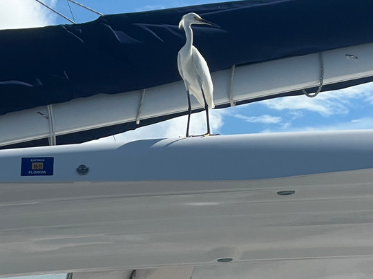 Moss Marina-迈尔斯堡海滩必去景点