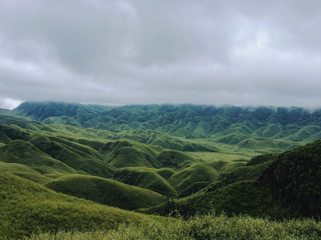 Dzukou Valley景点图片