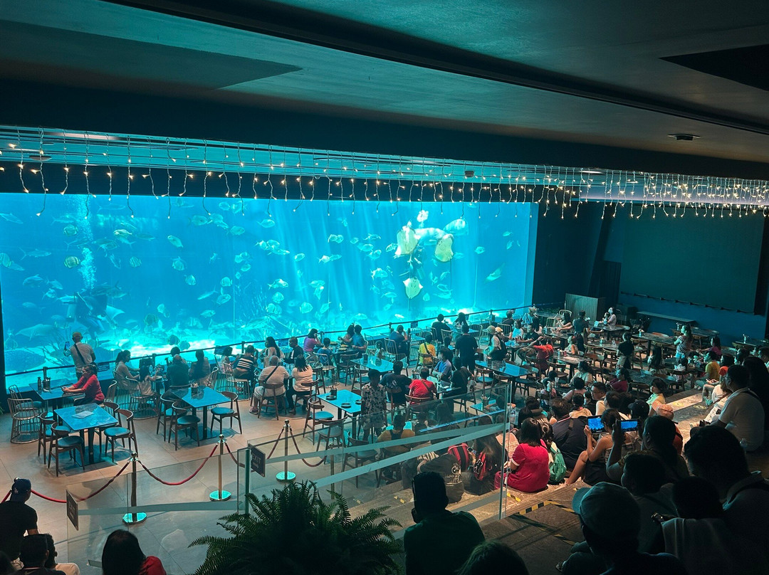 Cebu Ocean Park景点图片