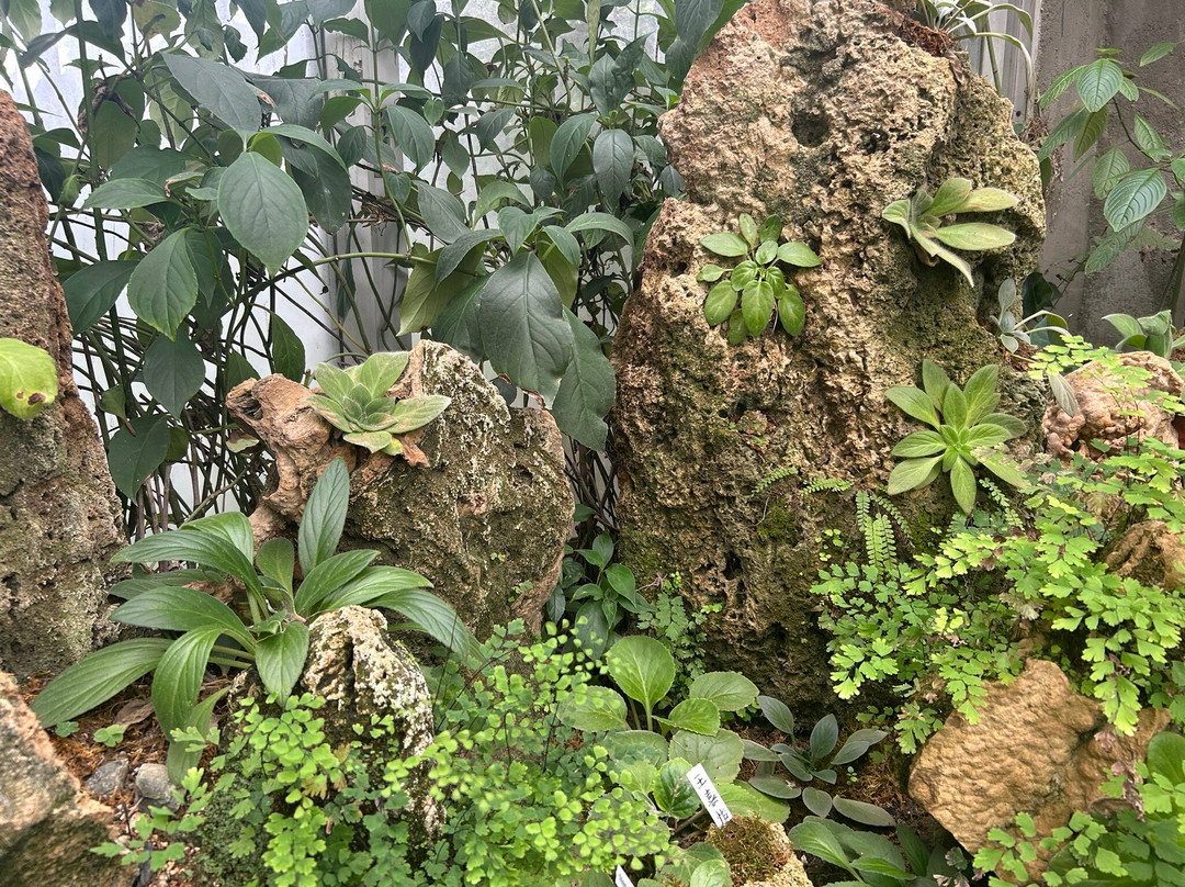 桂林植物园-桂林市必去景点