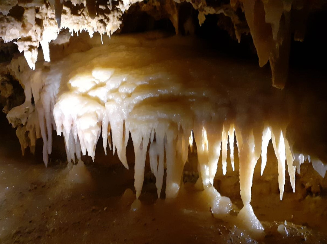 Grotte du Grand Roc景点图片