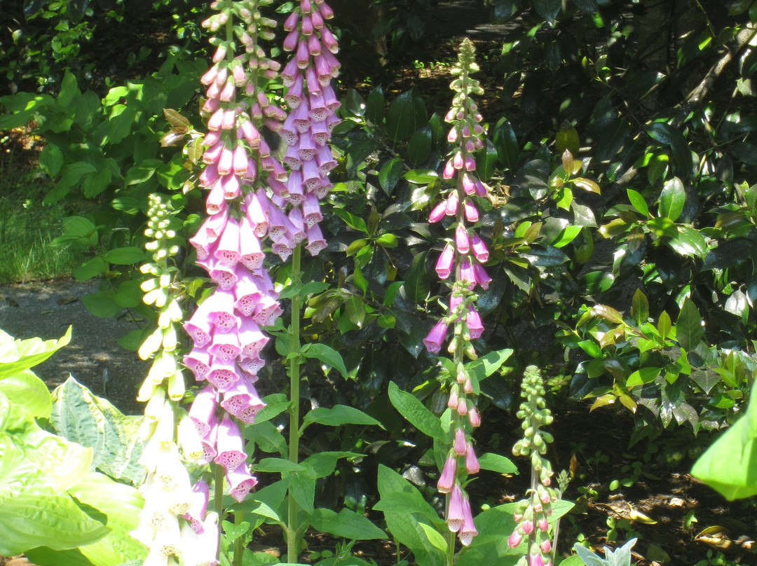 Armstrong-Kelley Park-Osterville必去景点