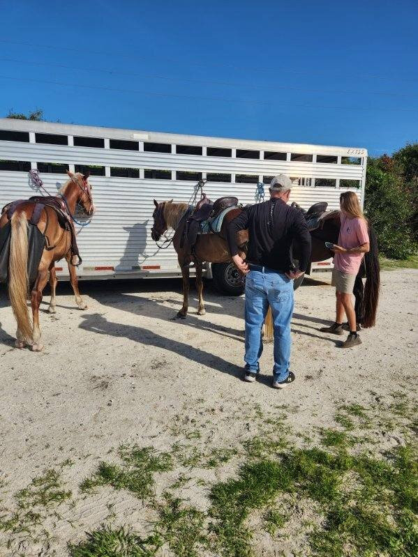 Happy Trails Walking Horses-费尔南迪纳岛必去景点