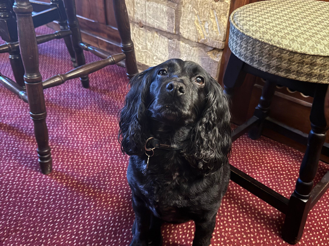 Inn For All Seasons主图