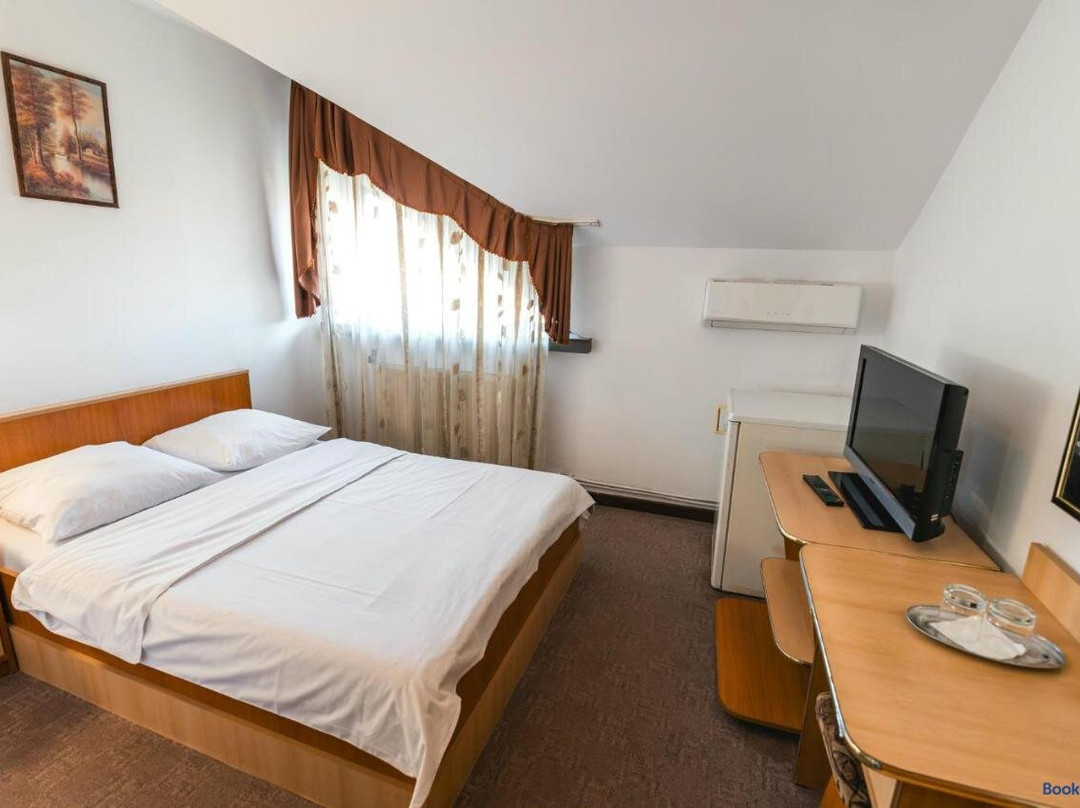 Pensiunea Turistica Europa主图