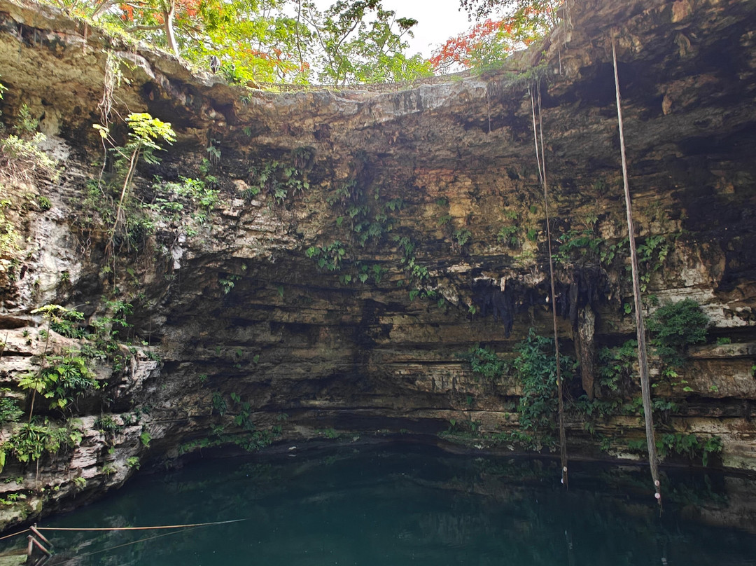 Oriundo Luxury Nature Villas主图