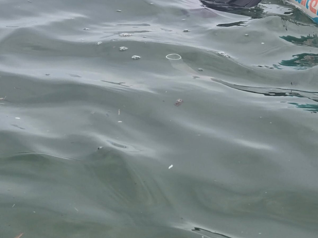 Tayrona Sailing-圣玛尔塔必去景点