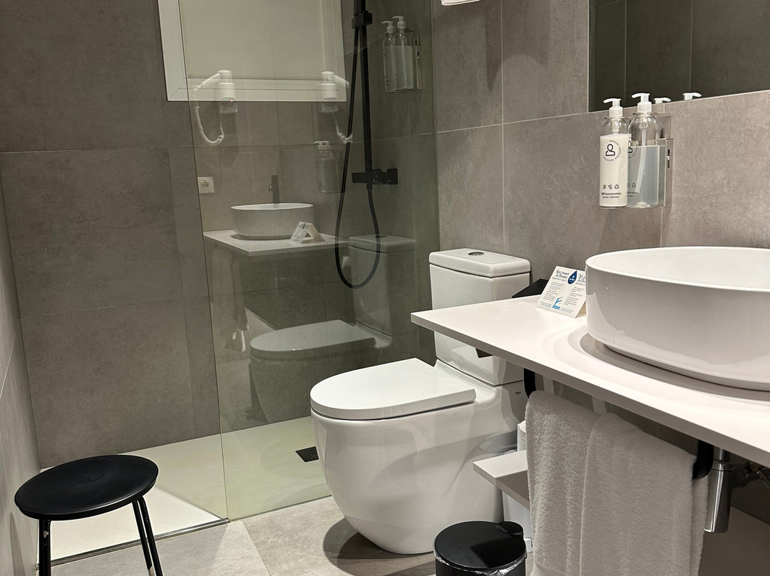 Hotel Sant Roc主图