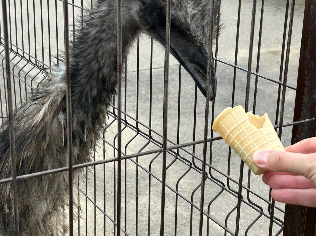 Minsk Zoo-明斯克必去景点