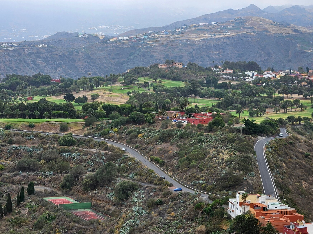 Mirador Pico de Bandama景点图片