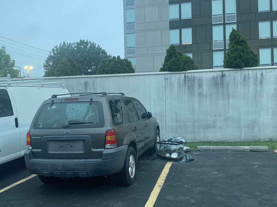 Super 8 by Wyndham Winchester VA主图