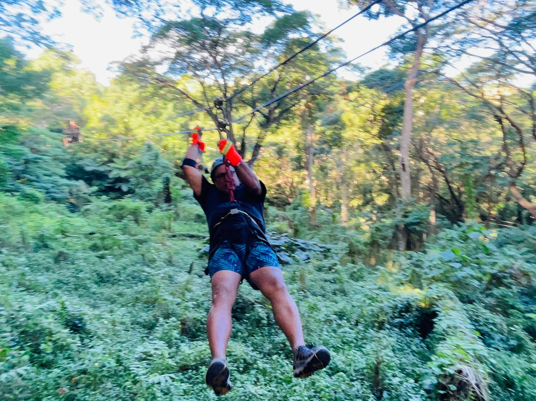 Sleeping Giant Zipline-纳迪市必去景点