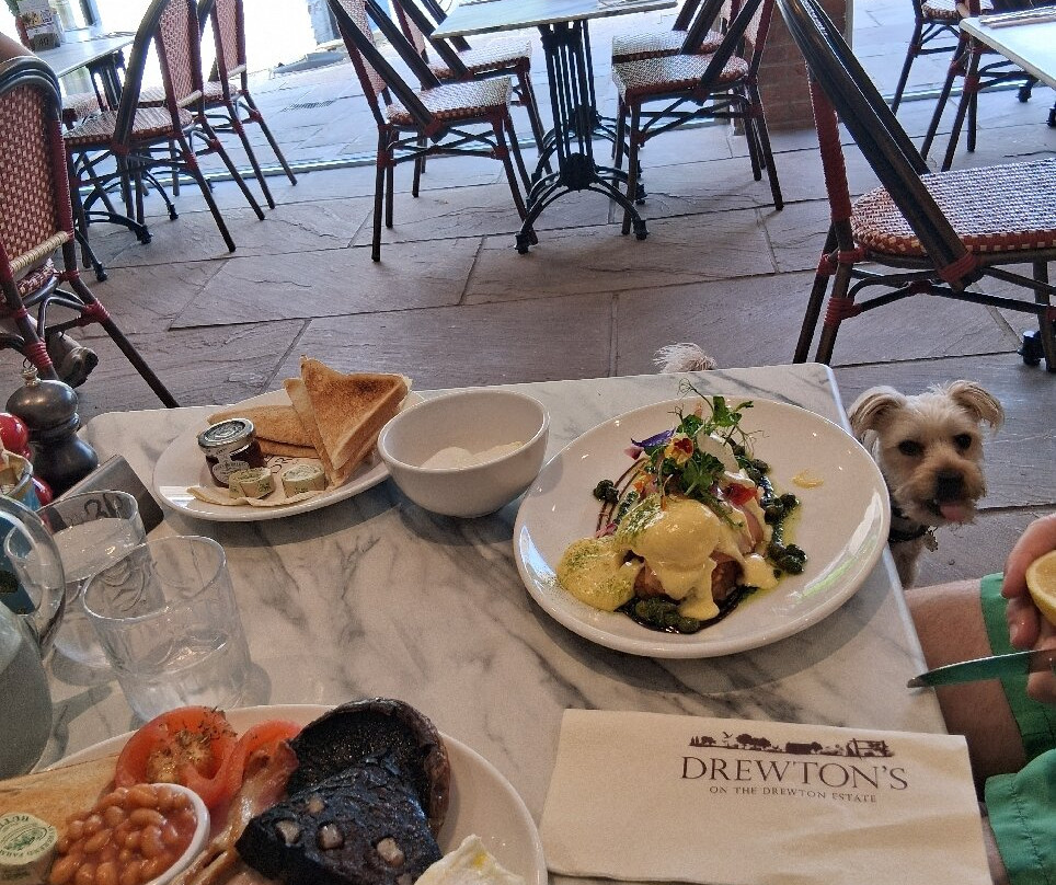 Drewton's Farm Shop-South Cave必去景点