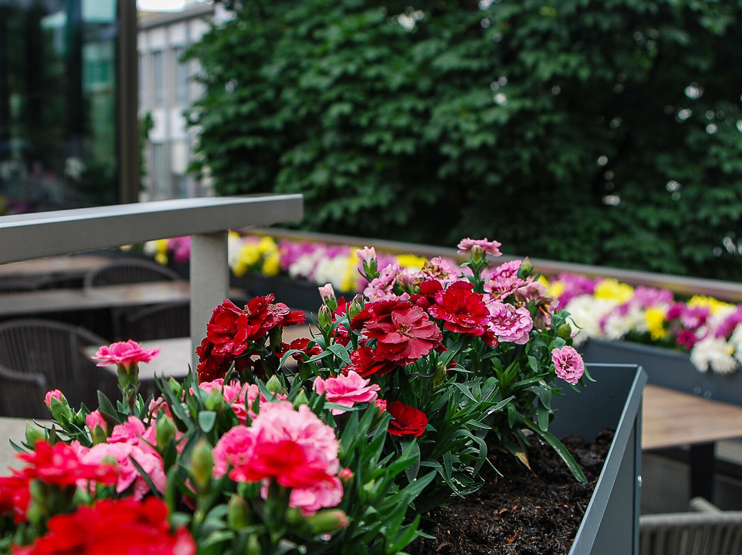 Schöntal Restaurant