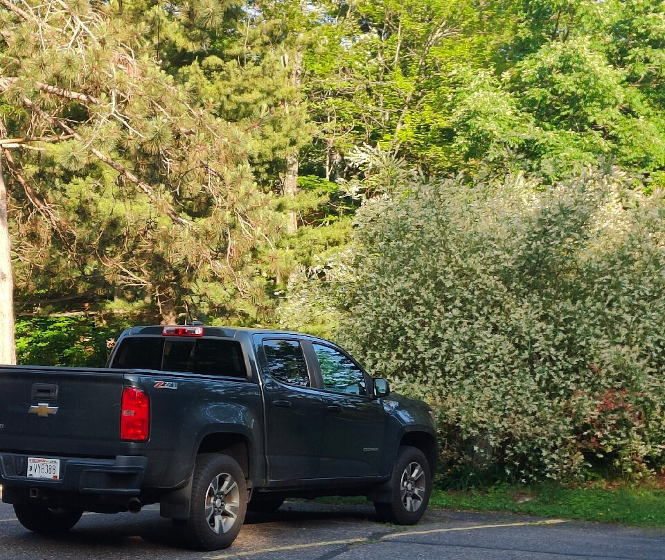 Rib Mountain Inn & Townhouses主图