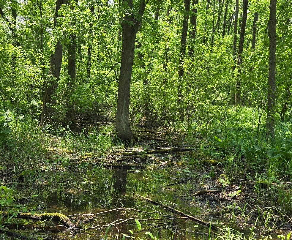 Copper Culture State Park-Oconto必去景点