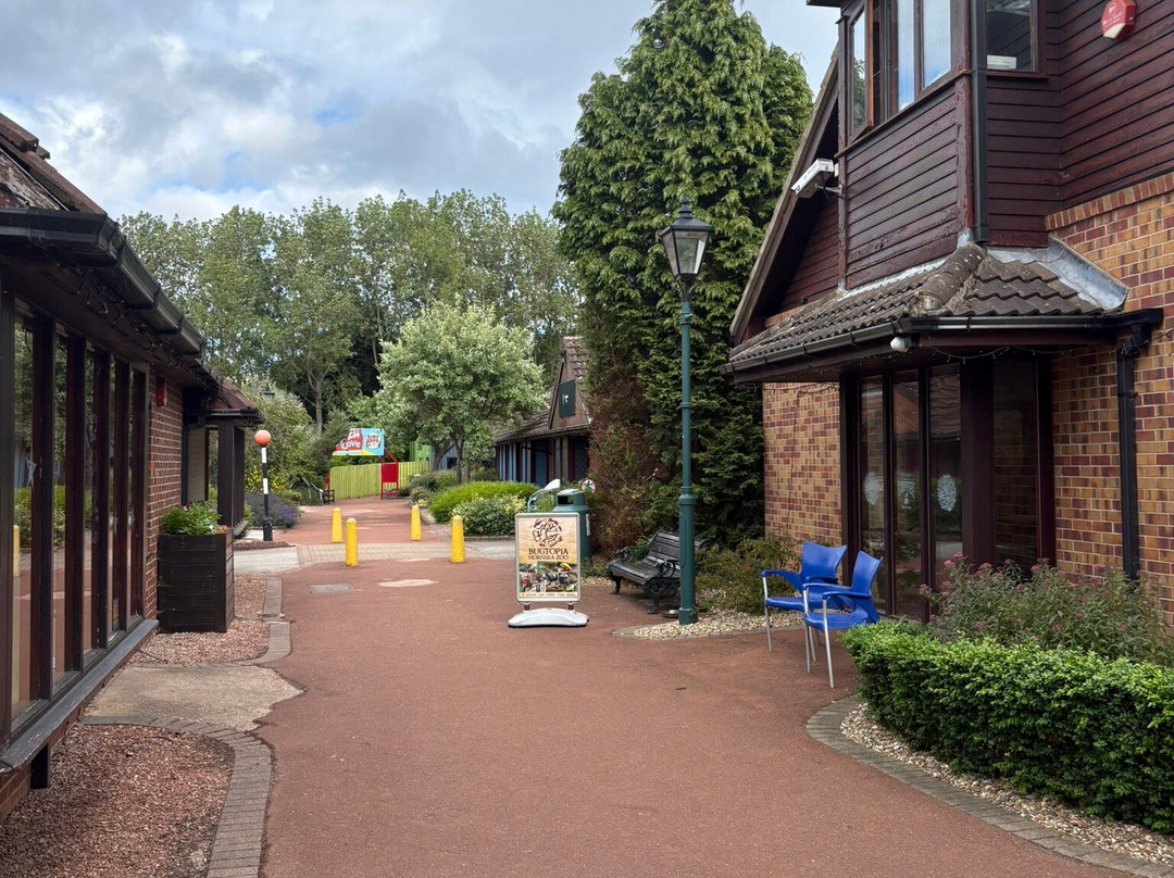 Hornsea Village-Hornsea必去景点