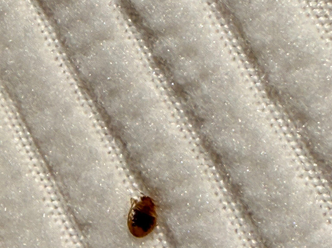 Days Inn by Wyndham Lisbon主图