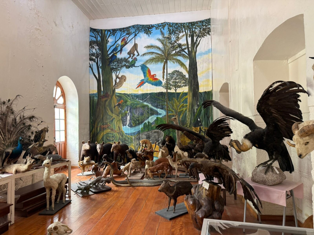 Museo Fray Enrique Mideros-巴尼奥斯必去景点