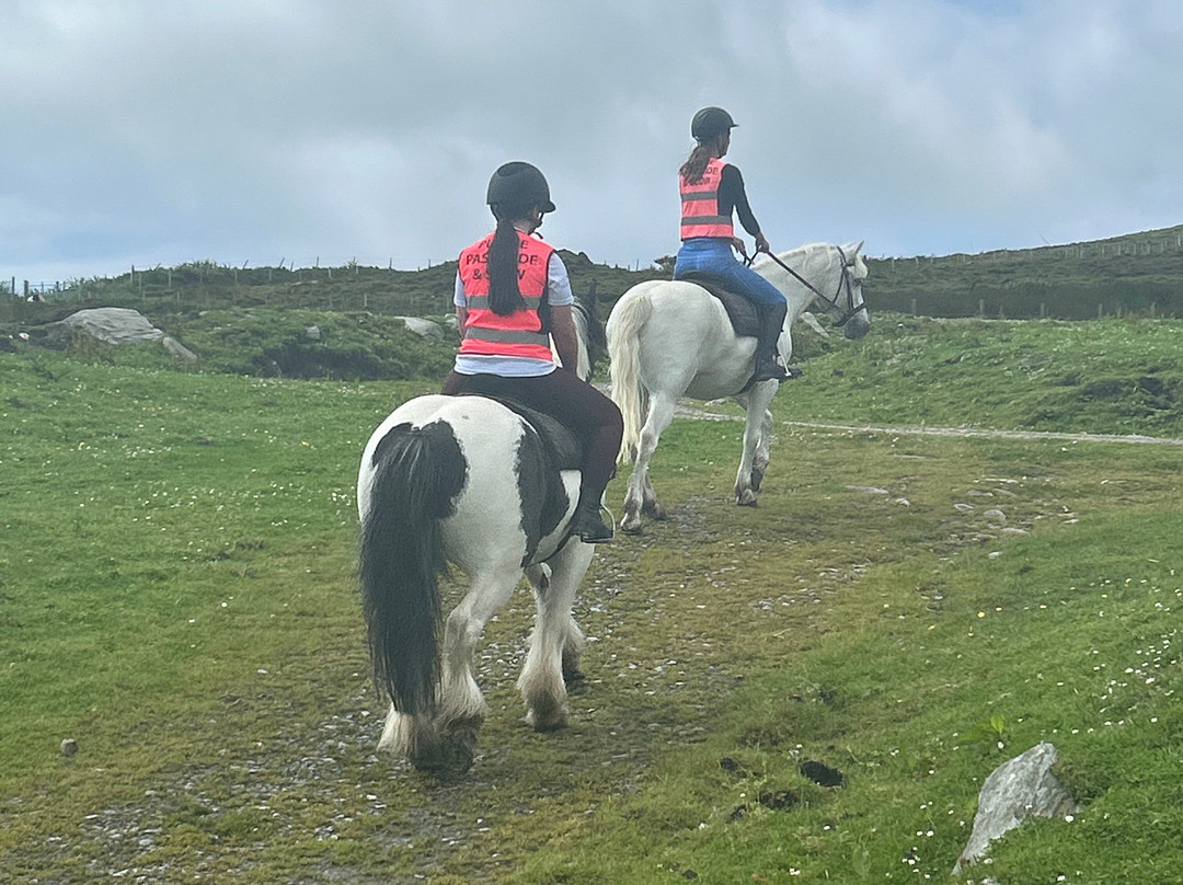 Calveys Equestrian Centre-Achill Island必去景点