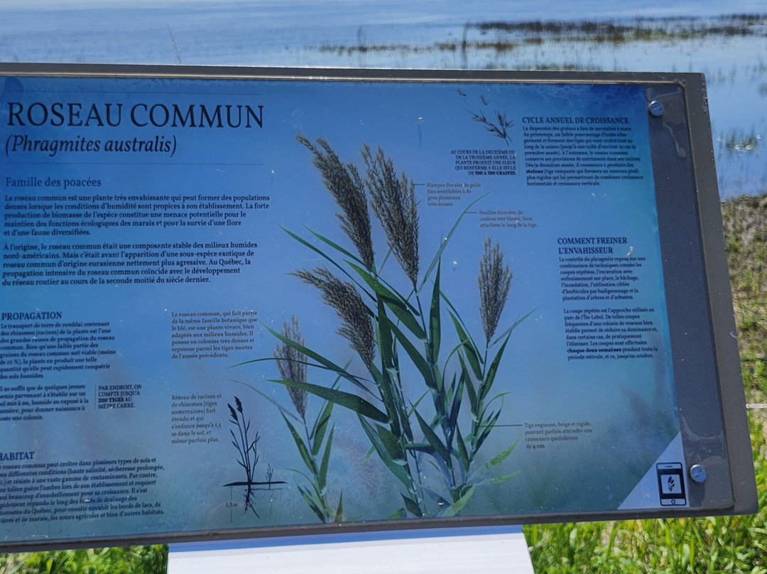 Parc de l'Île-Lebel-Repentigny必去景点