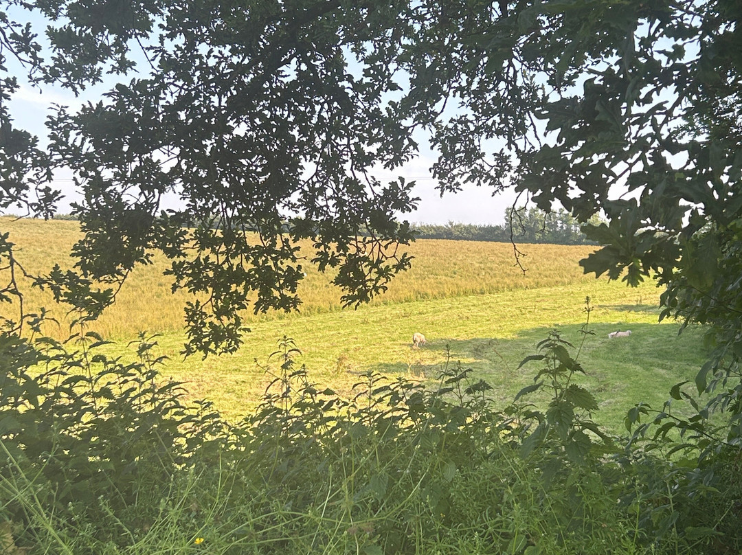 Blackdown Farm主图