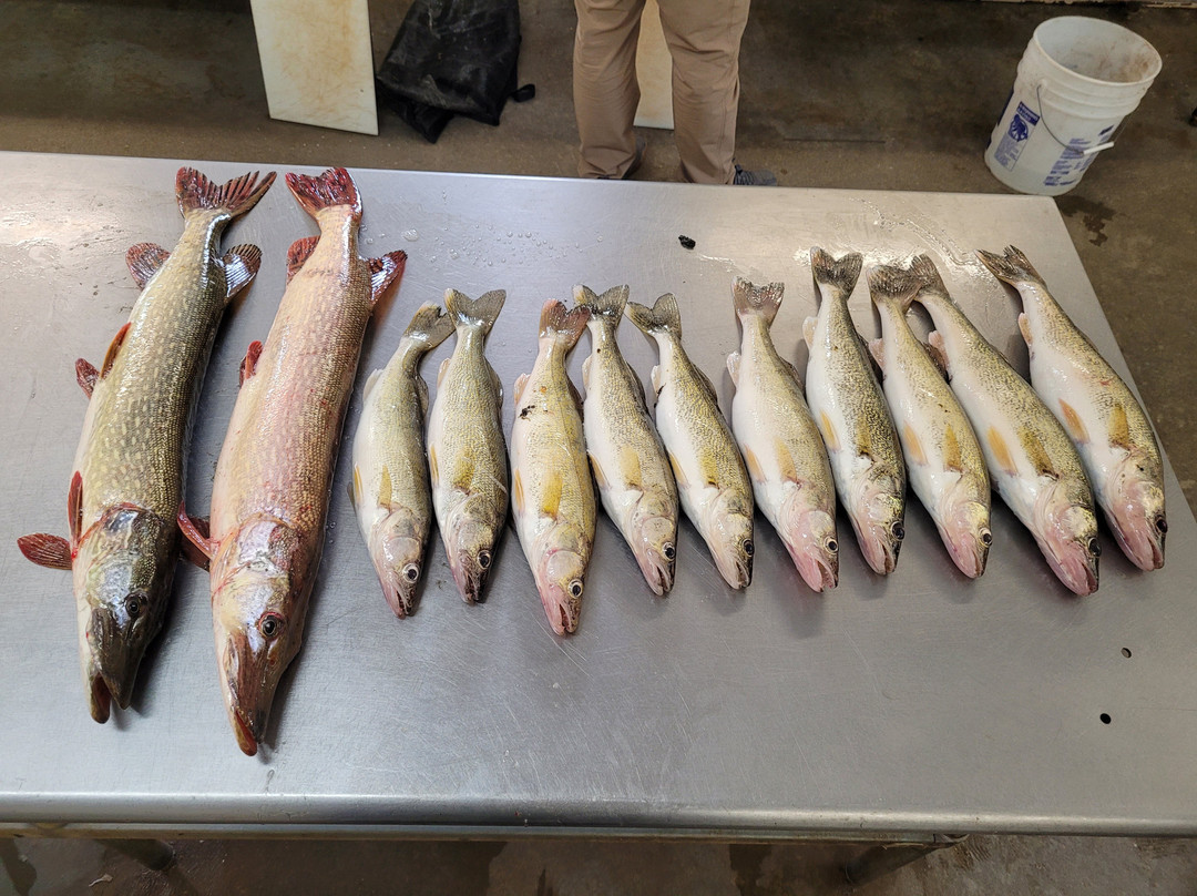 Perch Patrol-Devils Lake必去景点