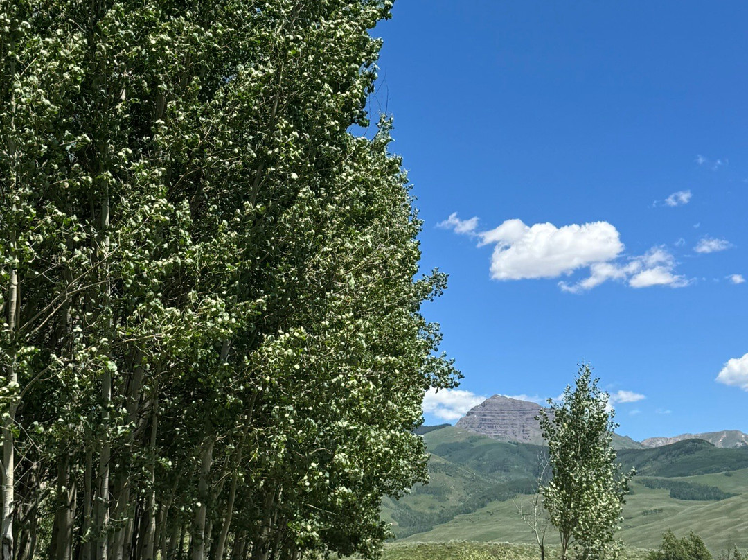 Brush Creek Trailhead-克雷斯特德比特必去景点