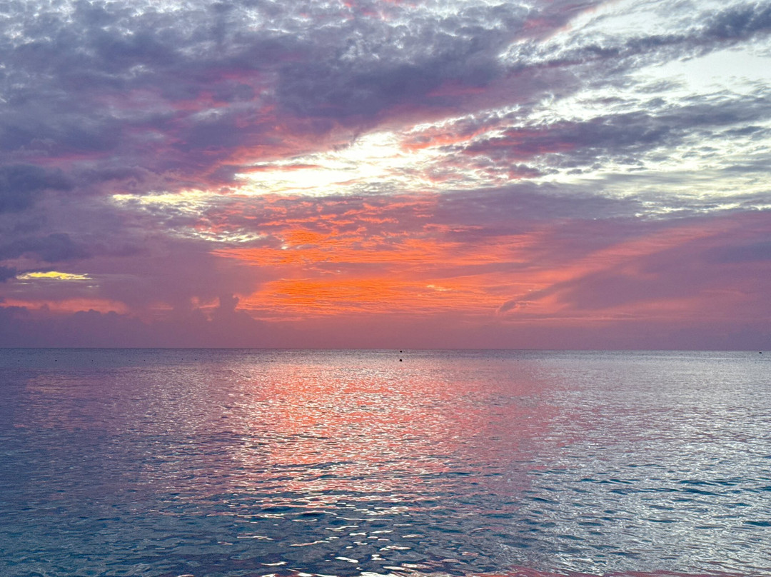 Port St. Charles主图