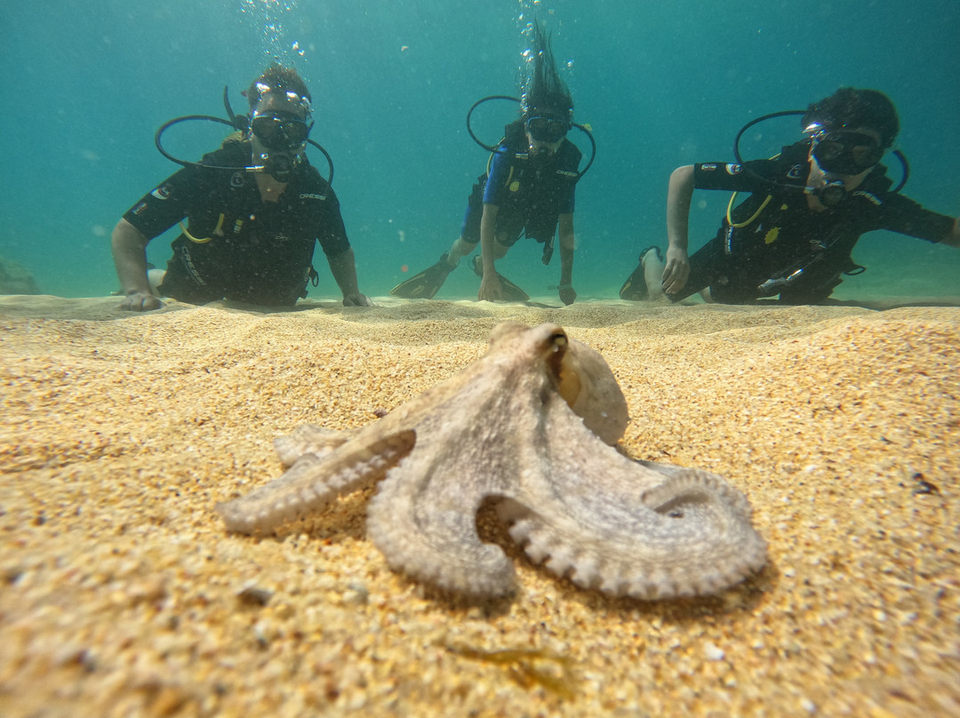 Diversub-Calonge必去景点